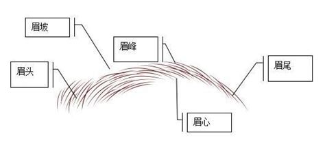 破相化解|面相五官「破相」分析及化解之法（建議收藏）